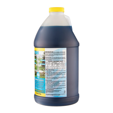 Easycare FounTec 50064 Algaecide & Clarifier 64 oz